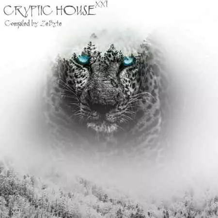 Cryptic House XXI музыку скачать Cryptic House XXI музыку торрент
