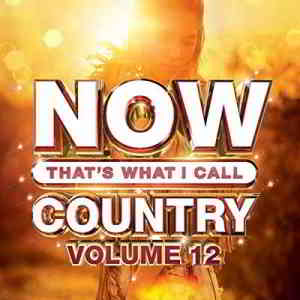 Now That's What I Call Country Vol 12 скачать Сборник песен торрент