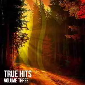 True Hits Vol.3 True Hits Vol.3 торрент