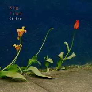 Oh Shu - Big Fish музыку скачать Oh Shu - Big Fish музыку торрент