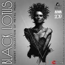 Black Lotus: Current Collection Of Metal Music музыку скачать Black Lotus: Current Collection Of Metal Music музыку торрент