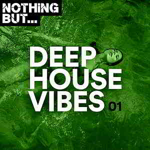 Nothing But... Deep House Vibes Vol.01 скачать торрент файл