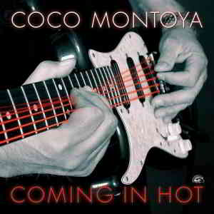 Coco Montoya - Coming in Hot скачать Сборник песен торрент