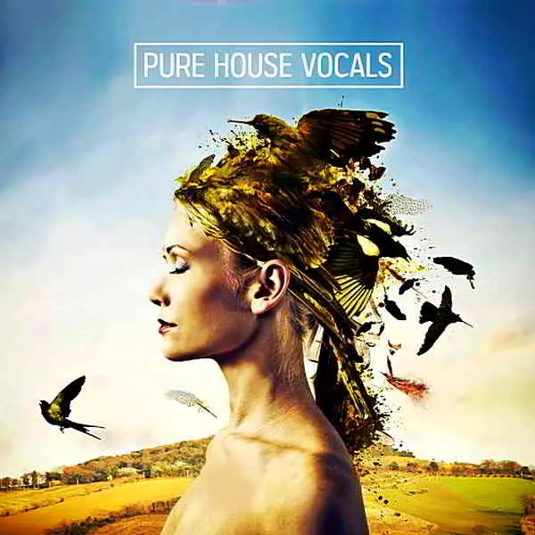 Pure House Vocal Clouds музыку скачать Pure House Vocal Clouds музыку торрент