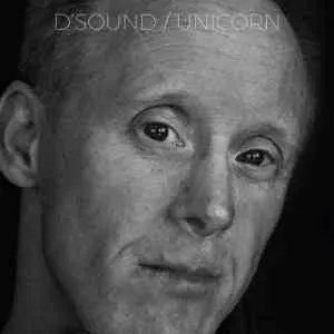 D'Sound - Unicorn музыку скачать D'Sound - Unicorn музыку торрент