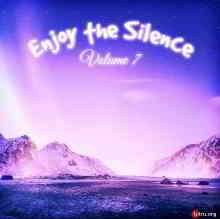 Enjoy The Silence Vol.7 скачать Сборник песен торрент