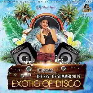 Exotic Of Disco: The Best Of Summer музыку скачать Exotic Of Disco: The Best Of Summer музыку торрент