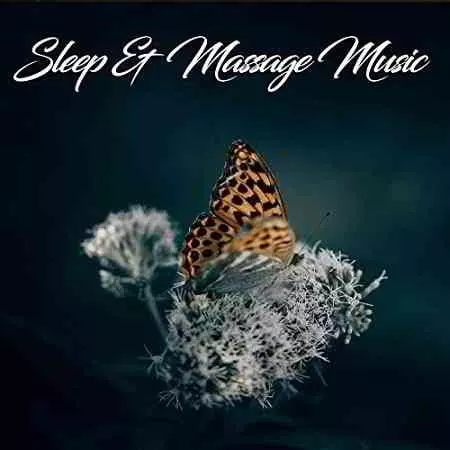Sleep & Massage Music музыку скачать Sleep & Massage Music музыку торрент