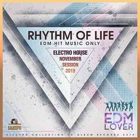 Rhythm Of Life: Electro House Session скачать торрент файл