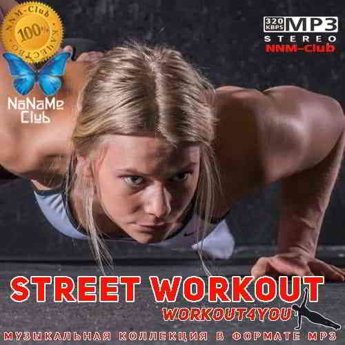 Street Workout скачать торрент файл