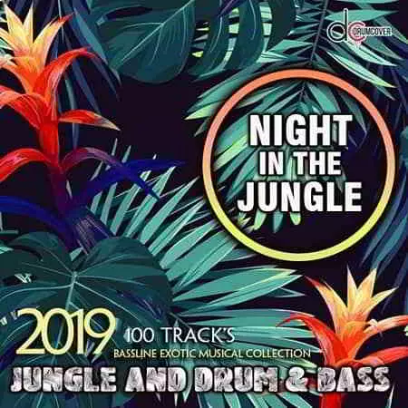 Night In The Jungle музыку скачать Night In The Jungle музыку торрент