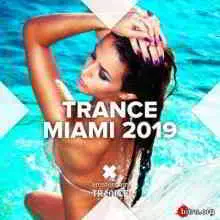 Trance Miami музыку скачать Trance Miami музыку торрент