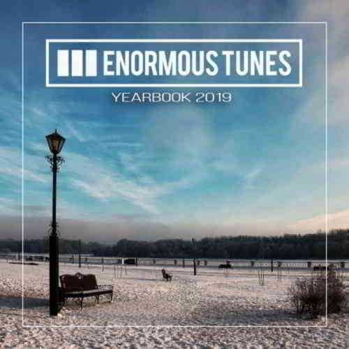 Enormous Tunes: The Yearbook 2019 скачать торрент файл