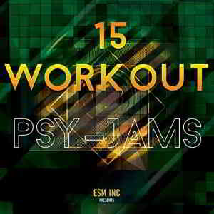 15 Workout Psy Jams скачать торрент файл