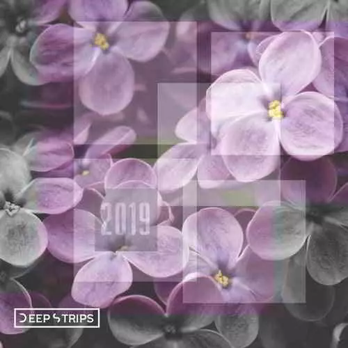Deep Strips 2019 музыку скачать Deep Strips 2019 музыку торрент