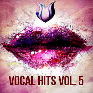 Vocal Hits Vol.5 скачать Сборник песен торрент