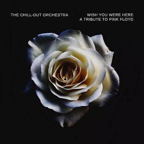 The Chill Out Orchestra - Wish You Were Here музыку скачать The Chill Out Orchestra - Wish You Were Here музыку торрент