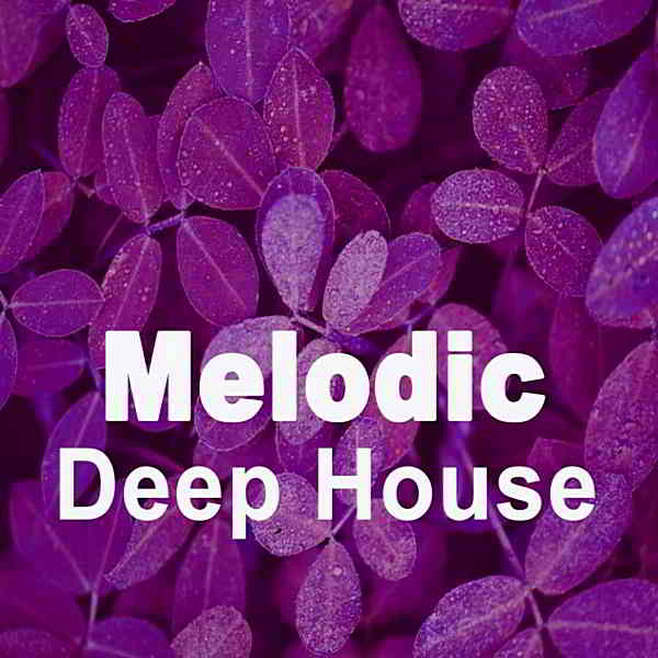 Melodic Deep House скачать Сборник песен торрент