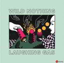 Wild Nothing - Laughing Gas скачать Сборник песен торрент