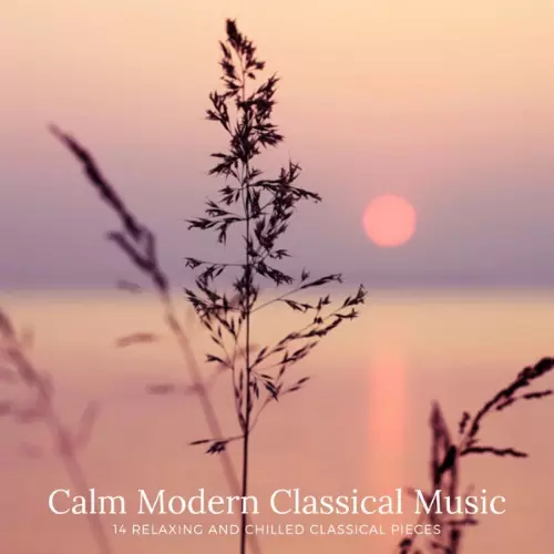 Calm Modern Classical Music. 14 Relaxing and Chilled Classical Pieces музыку скачать Calm Modern Classical Music. 14 Relaxing and Chilled Classical Pieces музыку торрент