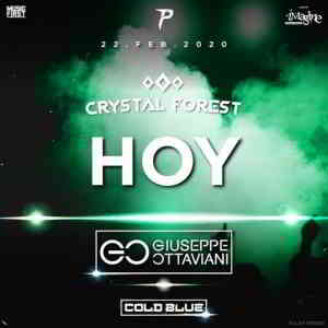 Cold Blue - Live @ Crystal Forest Medellin, Colombia 2020-02-22 скачать торрент файл