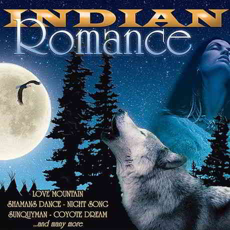 Indian Romance скачать торрент файл