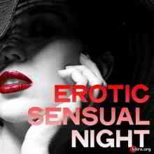 Erotic Sensual Night скачать торрент файл