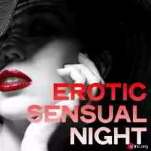 Erotic Sensual Night музыку скачать Erotic Sensual Night музыку торрент