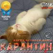 Карантин (Когда остался дома) музыку скачать Карантин (Когда остался дома) музыку торрент