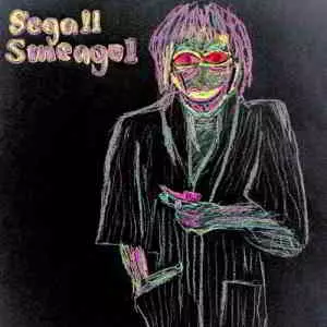 Ty Segall - Segall Smeagol музыку скачать Ty Segall - Segall Smeagol музыку торрент