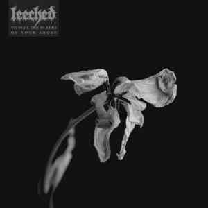 Leeched - To Dull the Blades of Your Abuse скачать Сборник песен торрент