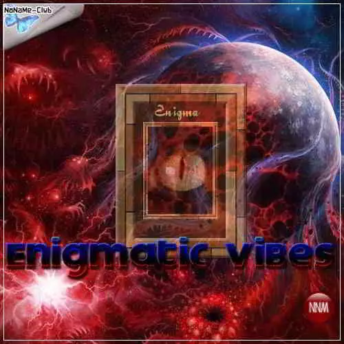 Enigmatic Vibes Enigmatic Vibes торрент