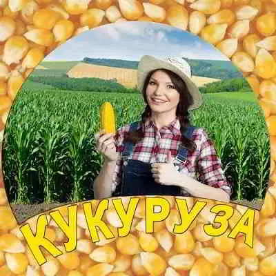 Виктория Черенцова - Кукуруза музыку скачать Виктория Черенцова - Кукуруза музыку торрент