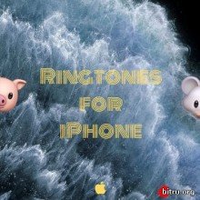 Popular Music Ringtones for iPhone скачать Сборник песен торрент