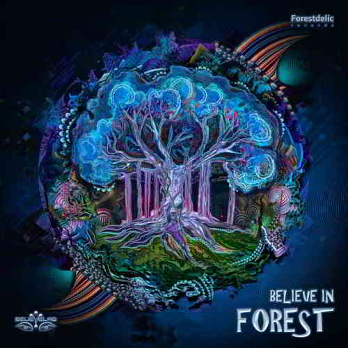 Believe in Forest скачать торрент файл