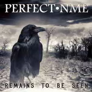 Perfect Nme - Remains to Be Seen музыку скачать Perfect Nme - Remains to Be Seen музыку торрент
