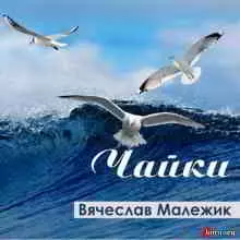 Вячеслав Малежик - Чайки музыку скачать Вячеслав Малежик - Чайки музыку торрент