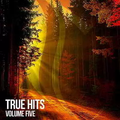 True Hits Vol. 5 музыку скачать True Hits Vol. 5 музыку торрент