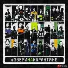 Звери - Звери на карантине (Home Version) Звери - Звери на карантине (Home Version) торрент