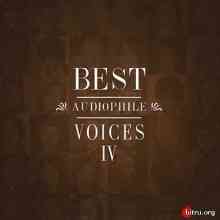 Best Audiophile Voices vol.4 скачать Сборник песен торрент