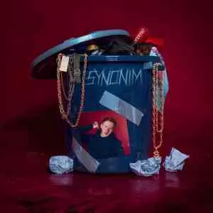 DK - SYNONIM музыку скачать DK - SYNONIM музыку торрент