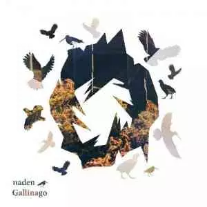 Naden - Gallinago музыку скачать Naden - Gallinago музыку торрент