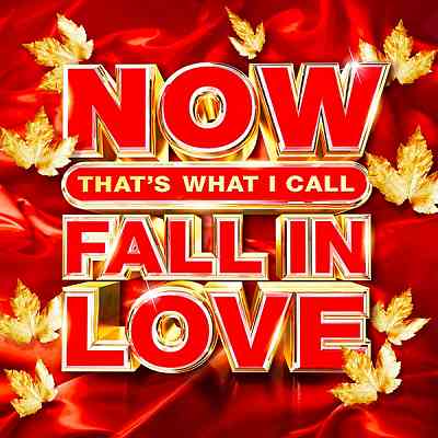 Now That's What I Call Fall In Love скачать Сборник песен торрент