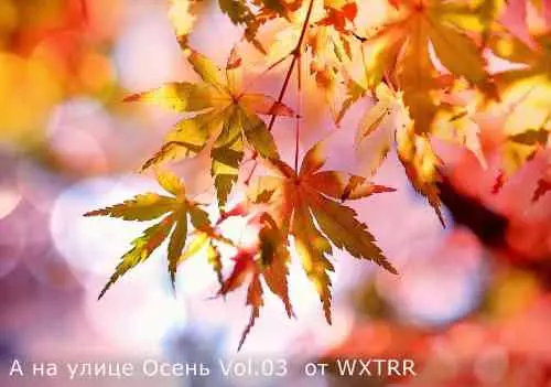 А на улице Осень Vol.03 музыку скачать А на улице Осень Vol.03 музыку торрент