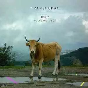 U96 - Wolfgang Flür - Transhuman музыку скачать U96 - Wolfgang Flür - Transhuman музыку торрент
