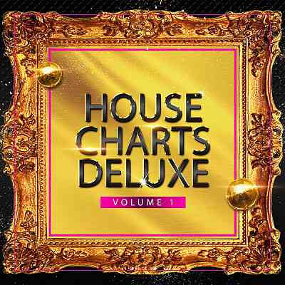 House Charts Deluxe Vol 1 скачать Сборник песен торрент