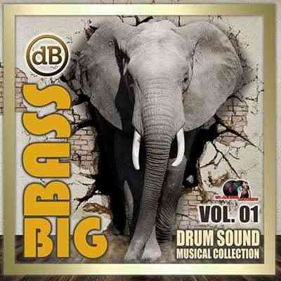 Big Bass: Drum Sound Musical Collection Vol.01 скачать торрент файл