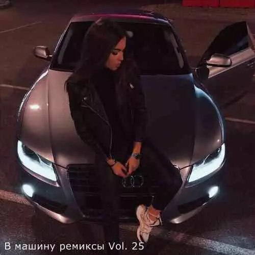 B машину ремиксы Vol. 25 B машину ремиксы Vol. 25 торрент