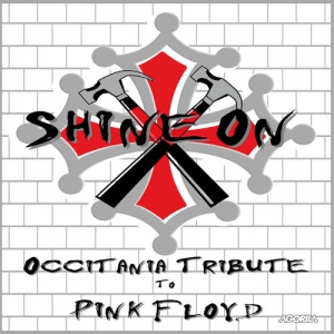 Shine On - Occitania Tribute to Pink Floyd скачать торрент файл