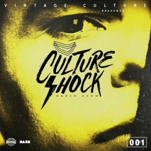 (House) Vintage Culture - Culture Shock 001 скачать торрент файл